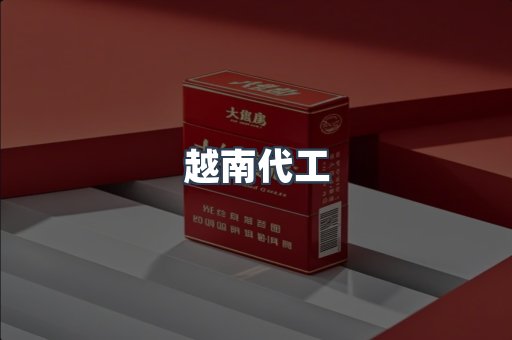 越南代工